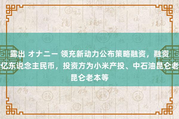 露出 オナニー 领充新动力公布策略融资，融资额近亿东说念主民币，投资方为小米产投、中石油昆仑老本等