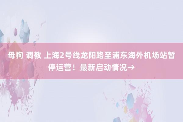 母狗 调教 上海2号线龙阳路至浦东海外机场站暂停运营！最新启动情况→