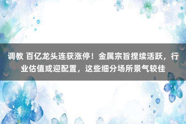 调教 百亿龙头连获涨停！金属宗旨捏续活跃，行业估值或迎配置，这些细分场所景气较佳