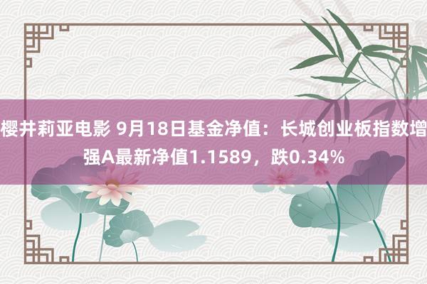 樱井莉亚电影 9月18日基金净值：长城创业板指数增强A最新净值1.1589，跌0.34%