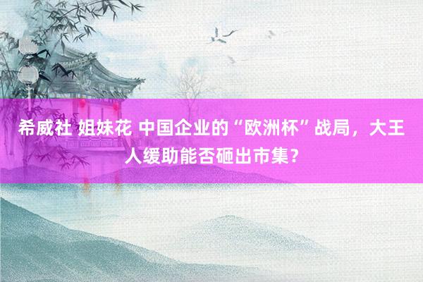 希威社 姐妹花 中国企业的“欧洲杯”战局，大王人缓助能否砸出市集？