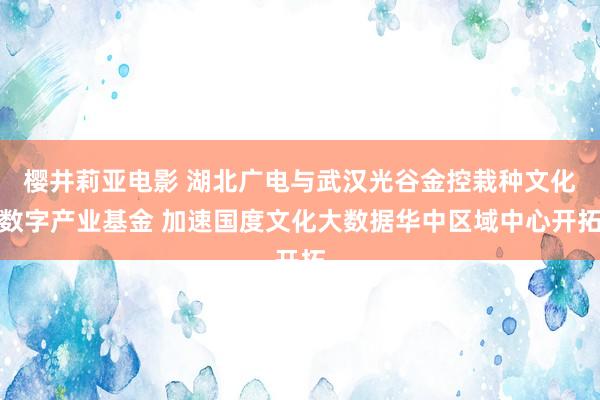 樱井莉亚电影 湖北广电与武汉光谷金控栽种文化数字产业基金 加速国度文化大数据华中区域中心开拓