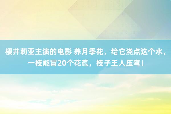 樱井莉亚主演的电影 养月季花，给它浇点这个水，一枝能冒20个花苞，枝子王人压弯！