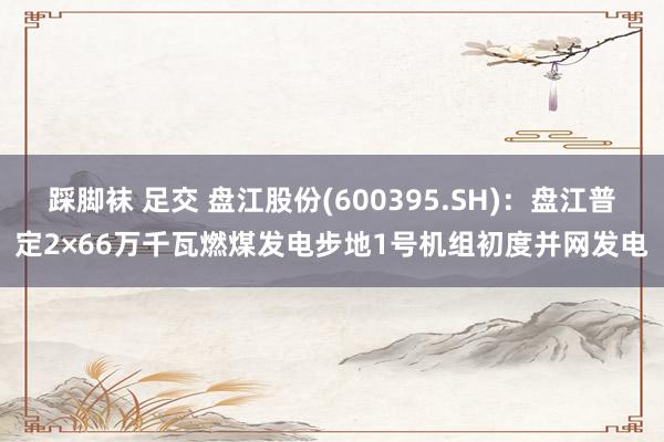 踩脚袜 足交 盘江股份(600395.SH)：盘江普定2×66万千瓦燃煤发电步地1号机组初度并网发电