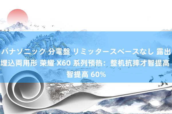 パナソニック 分電盤 リミッタースペースなし 露出・半埋込両用形 荣耀 X60 系列预热：整机抗摔才智提高 60%