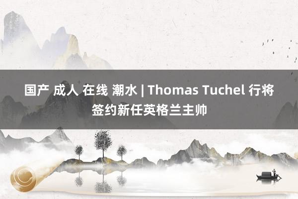 国产 成人 在线 潮水 | Thomas Tuchel 行将签约新任英格兰主帅