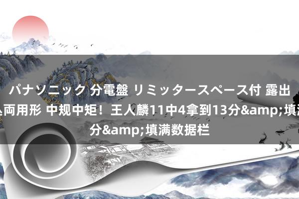 パナソニック 分電盤 リミッタースペース付 露出・半埋込両用形 中规中矩！王人麟11中4拿到13分&填满数据栏