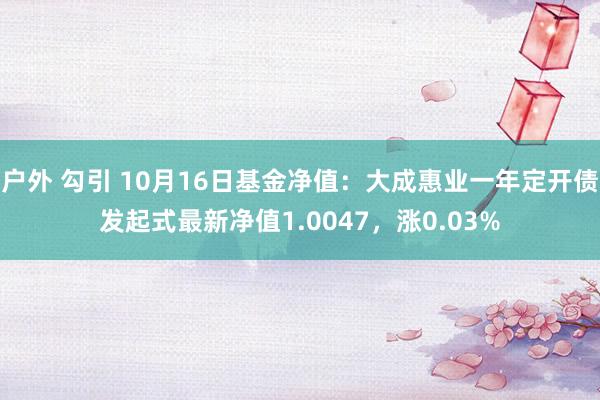 户外 勾引 10月16日基金净值：大成惠业一年定开债发起式最新净值1.0047，涨0.03%