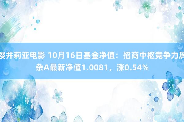 樱井莉亚电影 10月16日基金净值：招商中枢竞争力羼杂A最新净值1.0081，涨0.54%