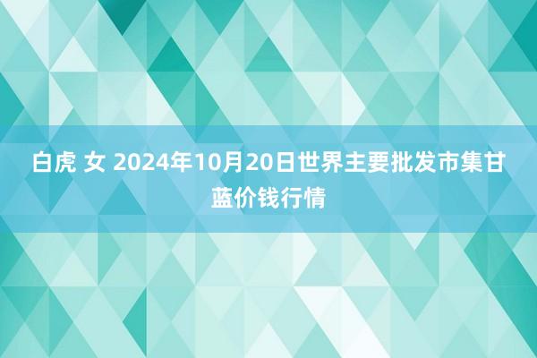 白虎 女 2024年10月20日世界主要批发市集甘蓝价钱行情