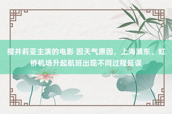 樱井莉亚主演的电影 因天气原因，上海浦东、虹桥机场升起航班出现不同过程延误