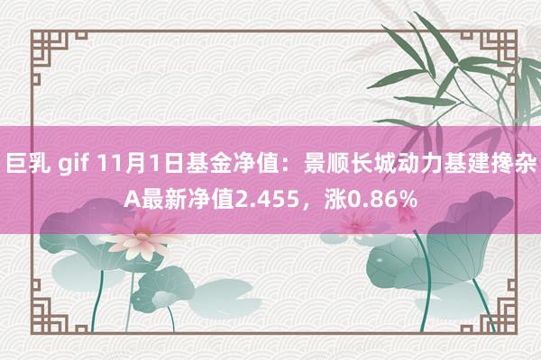 巨乳 gif 11月1日基金净值：景顺长城动力基建搀杂A最新净值2.455，涨0.86%