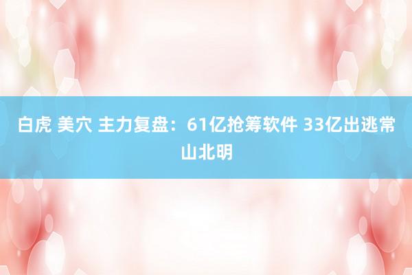 白虎 美穴 主力复盘：61亿抢筹软件 33亿出逃常山北明