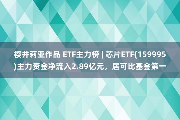 樱井莉亚作品 ETF主力榜 | 芯片ETF(159995)主力资金净流入2.89亿元，居可比基金第一