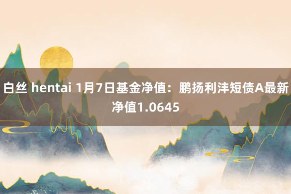 白丝 hentai 1月7日基金净值：鹏扬利沣短债A最新净值1.0645