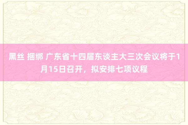 黑丝 捆绑 广东省十四届东谈主大三次会议将于1月15日召开，拟安排七项议程