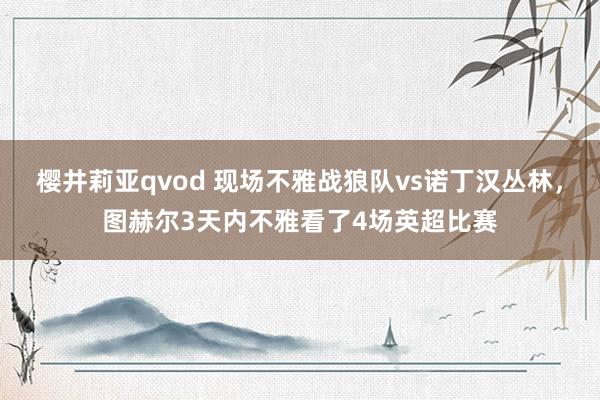 樱井莉亚qvod 现场不雅战狼队vs诺丁汉丛林，图赫尔3天内不雅看了4场英超比赛