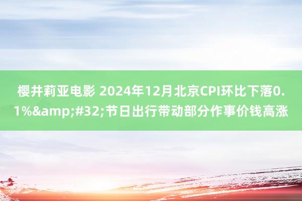 樱井莉亚电影 2024年12月北京CPI环比下落0.1%&#32;节日出行带动部分作事价钱高涨