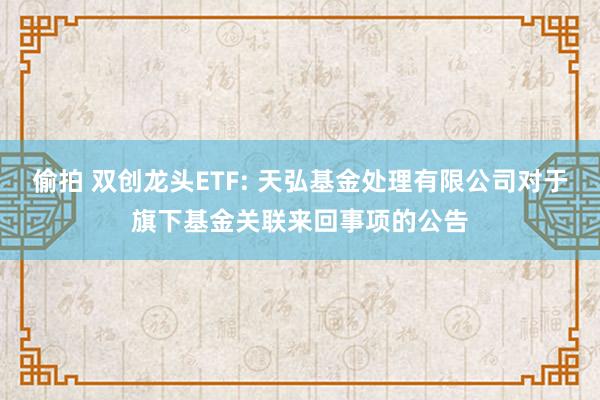 偷拍 双创龙头ETF: 天弘基金处理有限公司对于旗下基金关联来回事项的公告